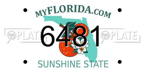 6481 Florida License Plate