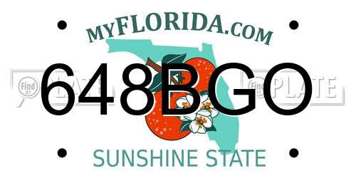 648BGO Florida License Plate