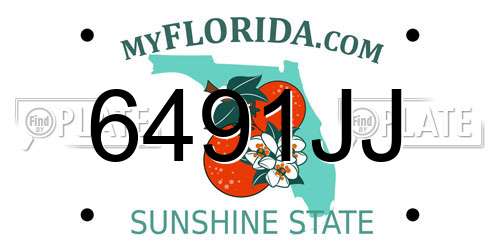6491JJ Florida License Plate