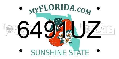 6491UZ Florida License Plate