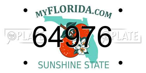 64976 Florida License Plate