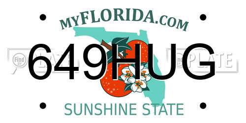 649HUG Florida License Plate