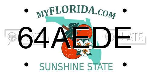 64AEDE Florida License Plate