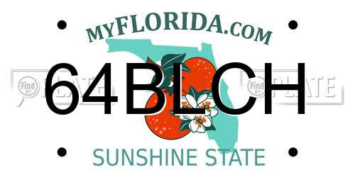 64BLCH Florida License Plate