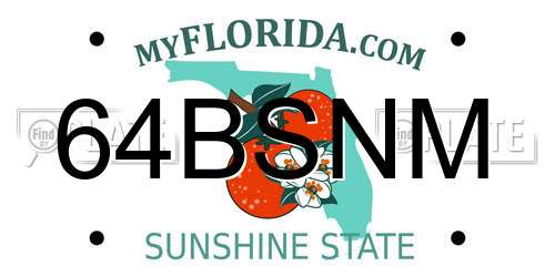 64BSNM Florida License Plate