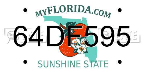64DF595 Florida License Plate