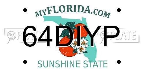 64DIYP Florida License Plate