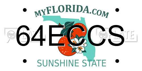 64ECCS Florida License Plate