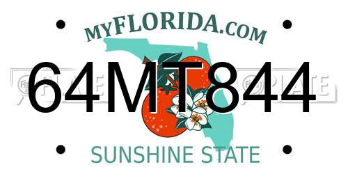 64MT844 Florida License Plate