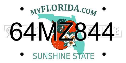 64MZ844 Florida License Plate