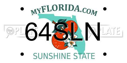 64SLN Florida License Plate