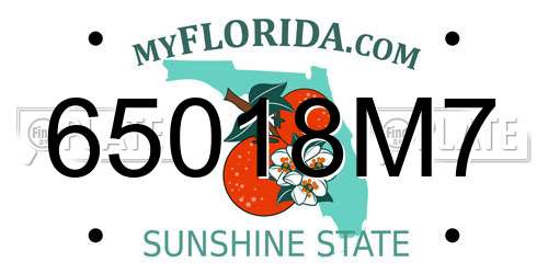65018M7 Florida License Plate