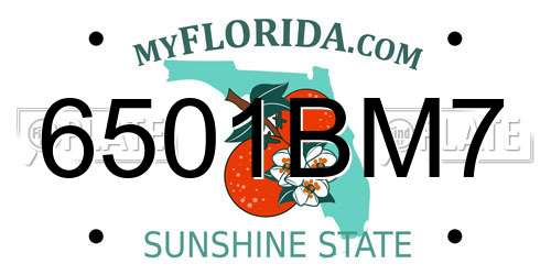 6501BM7 Florida License Plate