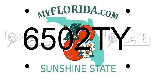 6502TY Florida License Plate
