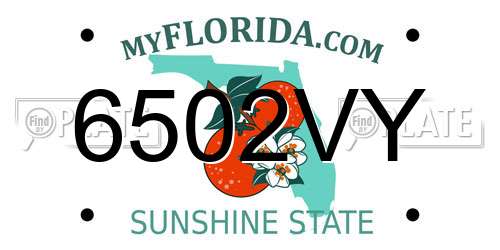 6502VY Florida License Plate