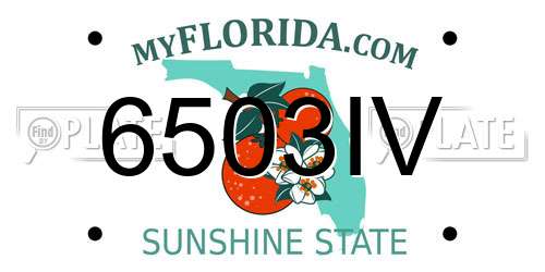 6503IV Florida License Plate