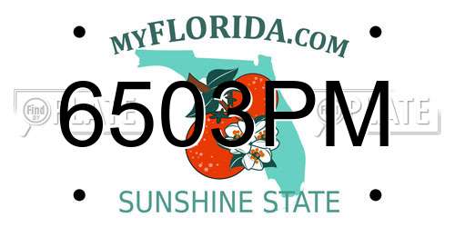 6503PM Florida License Plate
