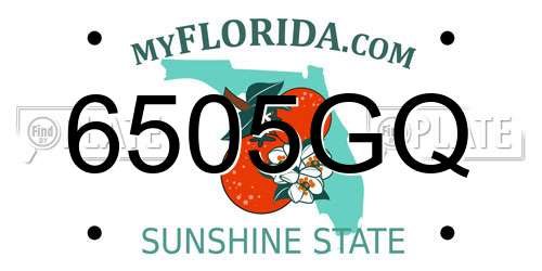 6505GQ Florida License Plate