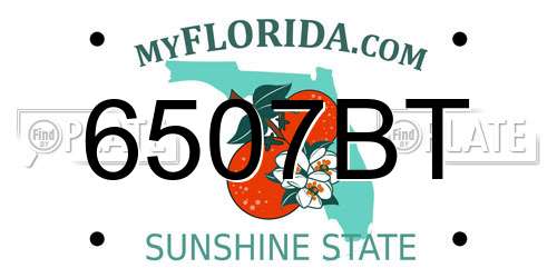 6507BT Florida License Plate