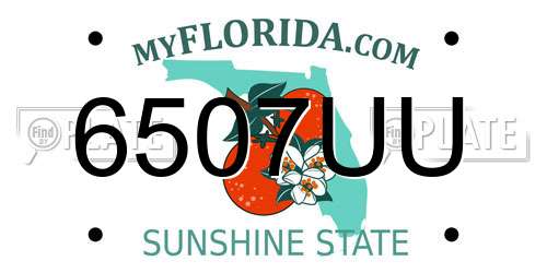 6507UU Florida License Plate