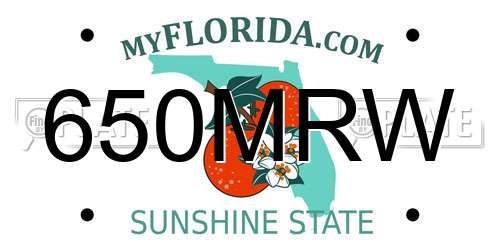 650MRW Florida License Plate
