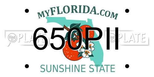 650PII Florida License Plate
