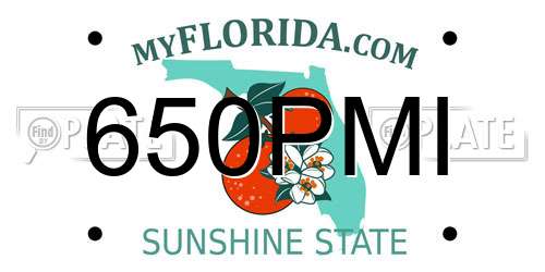 650PMI Florida License Plate