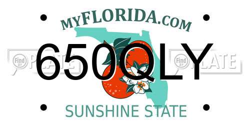 650QLY Florida License Plate