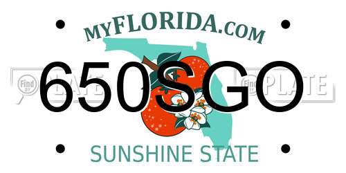650SGO Florida License Plate