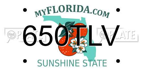 650TLV Florida License Plate