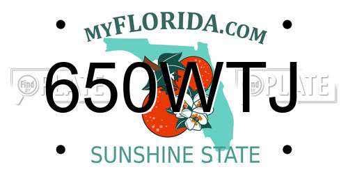650WTJ Florida License Plate