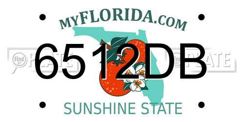 6512DB Florida License Plate