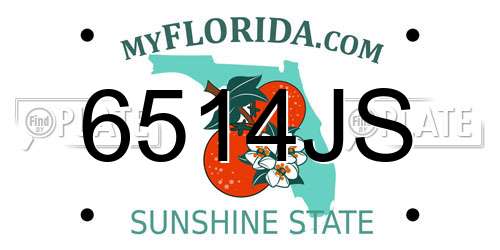 6514JS Florida License Plate