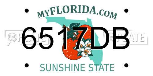 6517DB Florida License Plate