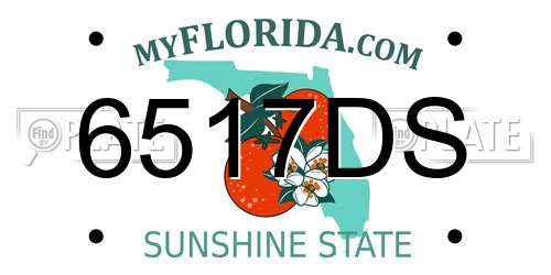 6517DS Florida License Plate
