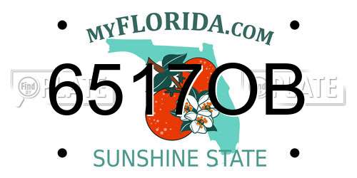 6517OB Florida License Plate