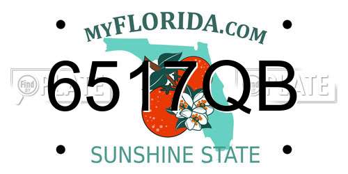 6517QB Florida License Plate
