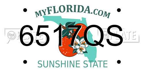 6517QS Florida License Plate