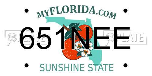 651NEE Florida License Plate