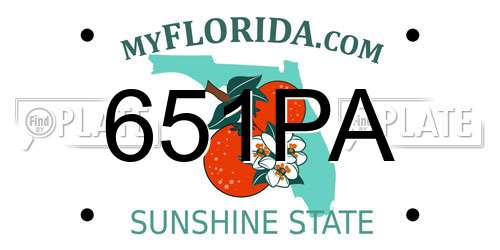 651PA Florida License Plate