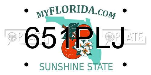 651PLJ Florida License Plate