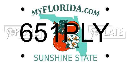 651PLY Florida License Plate