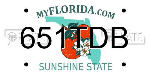 651TDB Florida License Plate