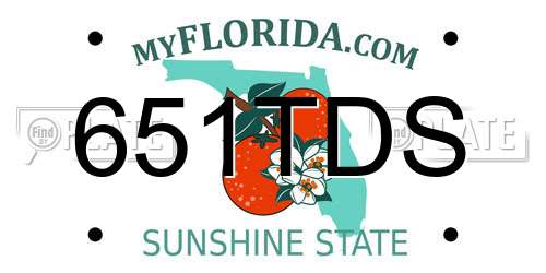 651TDS Florida License Plate