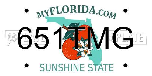 651TMG Florida License Plate