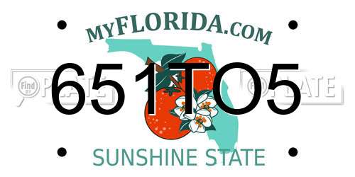 651TO5 Florida License Plate