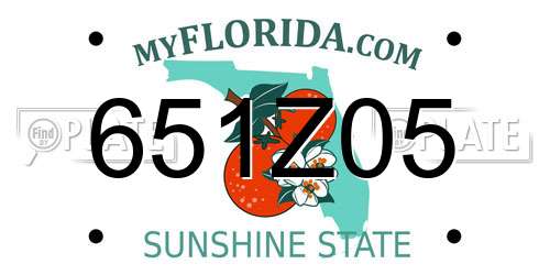 651Z05 Florida License Plate