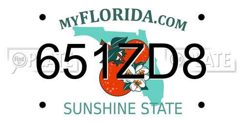 651ZD8 Florida License Plate