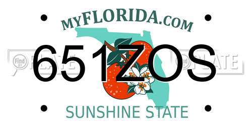 651ZOS Florida License Plate