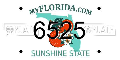 6525 Florida License Plate